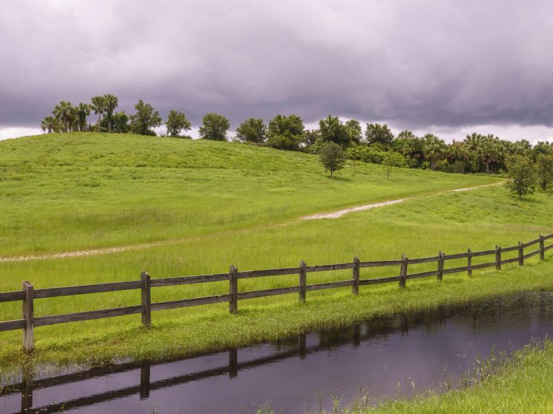 Rustic Split Rail Fence